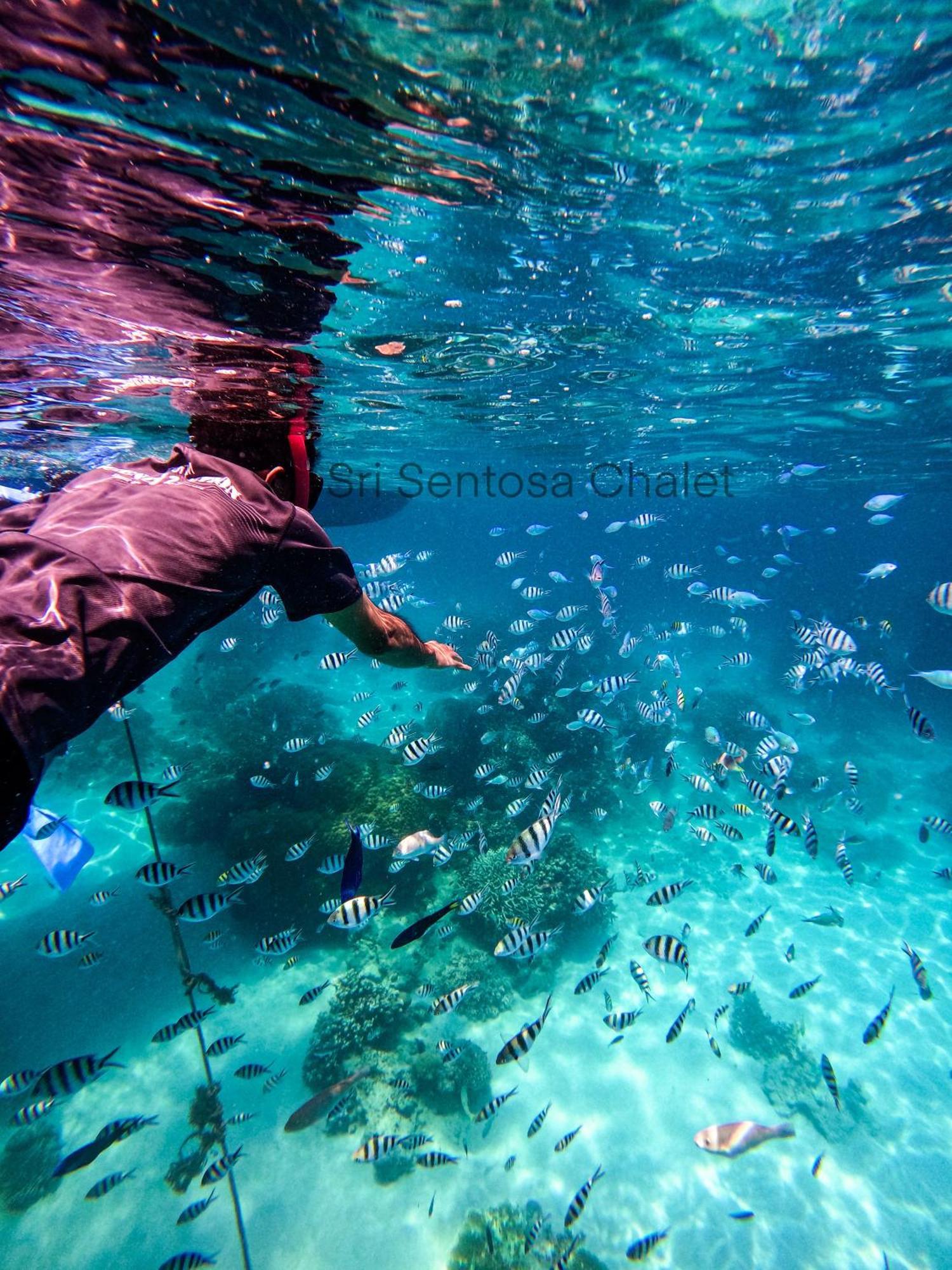 Sri Sentosa Chalet Kampong Mukut Kültér fotó